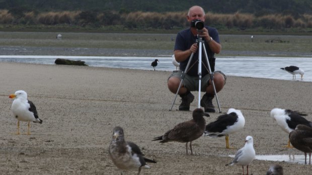 Jeff Davies with feathered friends at Shallow Inlet