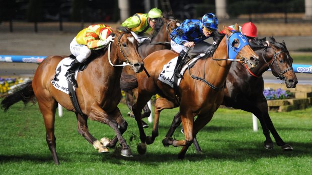 Ready for more: As they did in the Moir Stakes, Buffering (blue hood) will go head-to-head with Lankan Rupee (left) in the Manikato Stakes.