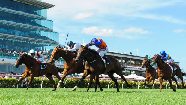 Family affair: Red Excitement wins the Chester Manifold Stakes. 