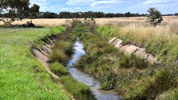 The waterway that runs through the site in Werribee where radioactive cow carcasses are buried. 