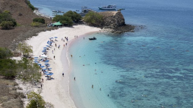 Expedition cruise from the Kimberley to Komodo Island: Crocodiles and