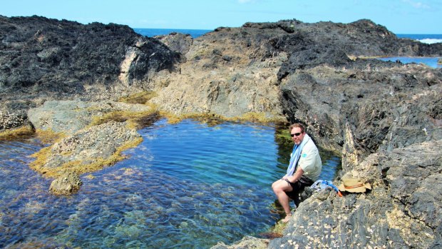 Cooling off in the North Head Rock Pool near Batemans Bay.