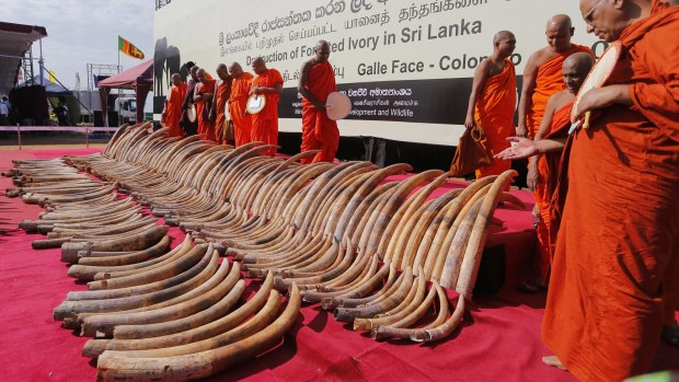 The symbolic ceremony sends a powerful message to ivory traders and consumers in Asia.