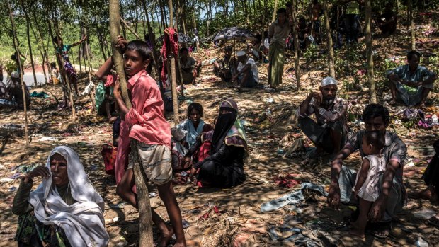 Few ethnic groups on Earth have been locked into such hopeless logic as the Rohingya, now marooned on an international border, unwanted by either side, weary, traumatised, stateless, their very origins in dispute. 