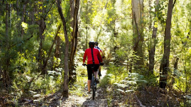 Mountain biking in Gippsland.