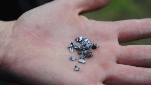 Fragments from the bullet that was fired into a Queanbeyan home. 