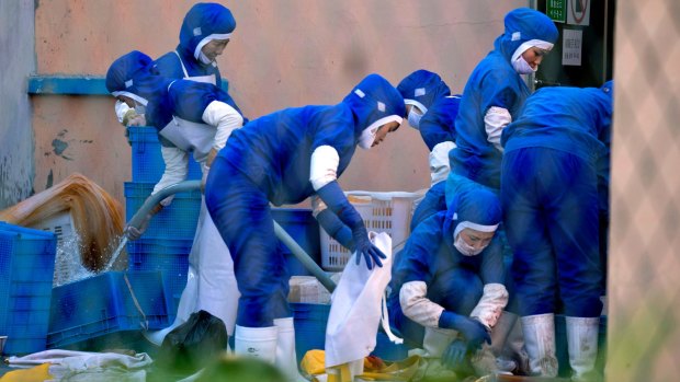 North Korean workers at a seafood processing plant in Hun chun, China, are distinguished from Chinese workers by blue overalls.