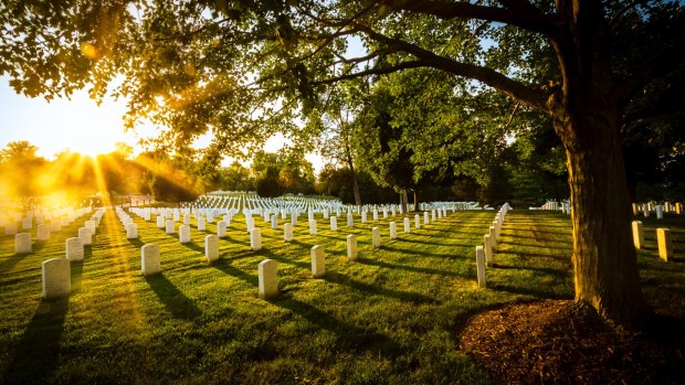 A late afternoon walk in Arlington Cemetery, where more than 300,000 people are buried.