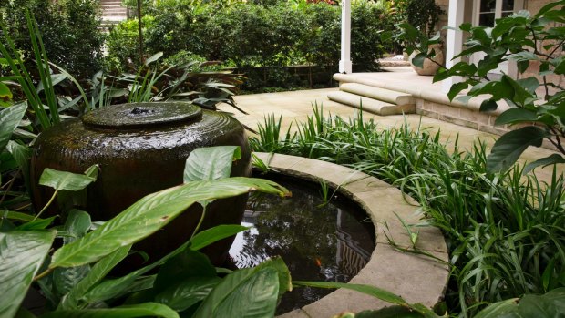 A pond adds to the tropical feel in Michael Bates' North Sydney garden.