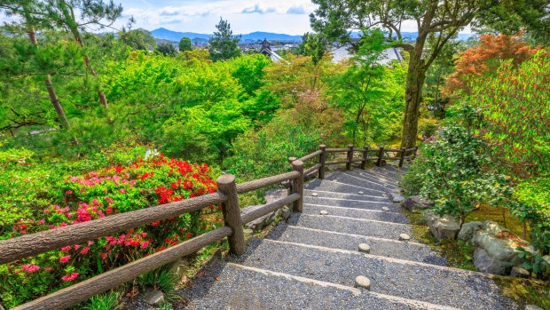 Garden path of a hundred flowers with view of Arashiyama city, Kyoto, Japan. 