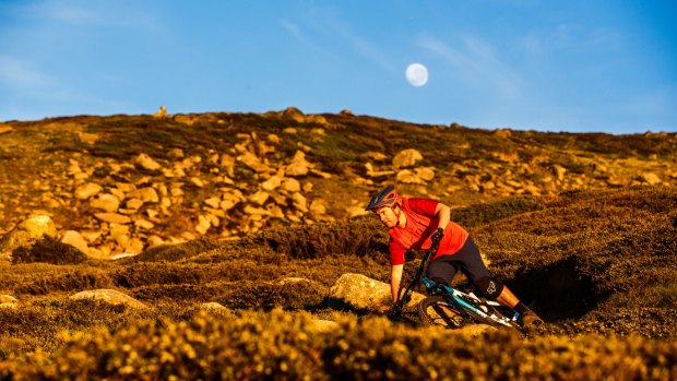 Those who've only visited Thredbo in winter will delight in the diverse boulder-studded slopes.