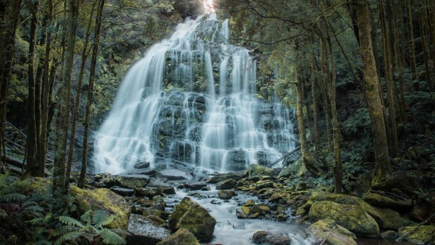 The Nelson Falls, a cascade waterfall, is located in the West Coast region of Tasmania.