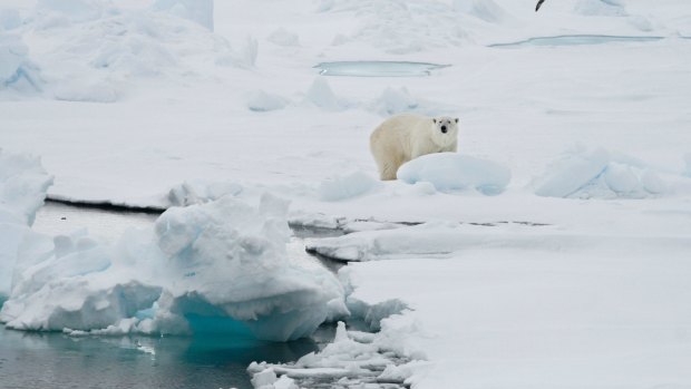 Air temperatures were 2 degrees higher than their 1981-to-2010 average in the months between October 2015 and September of 2016.