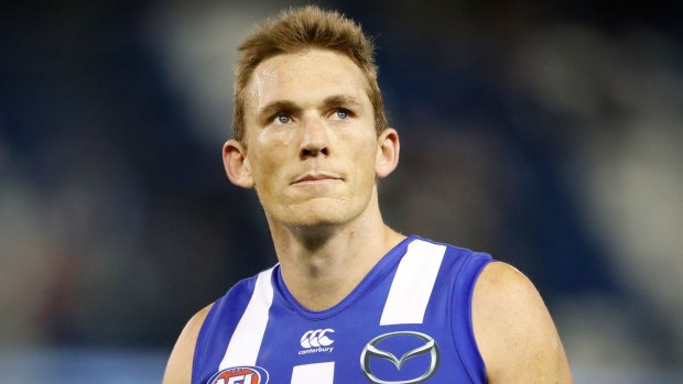 Former North Melbourne champion Drew Petrie must soon decide whether he'll move to the West Coast Eagles.