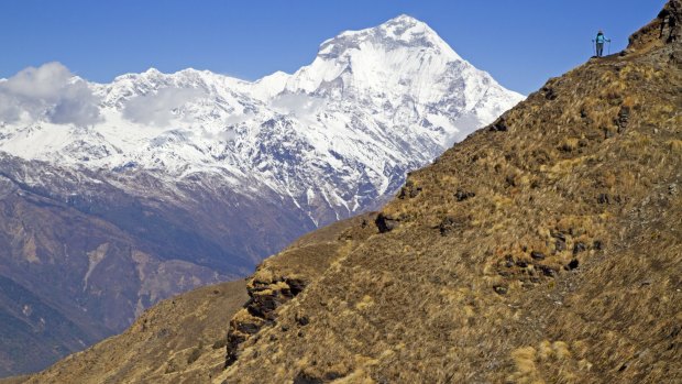 Trekker on Kopra Ridge, with Dhaulagiri behind in Nepal.