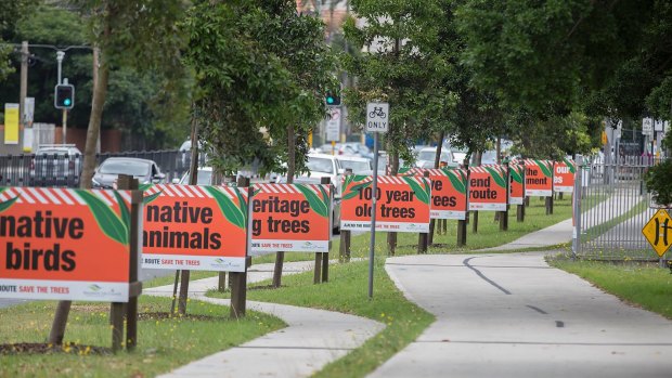 The Randwick City Council organised a protest against the removal of trees to make way for light rail.