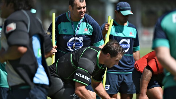 Master and commander: Michael Cheika at Waratahs training before taking on the Chiefs.