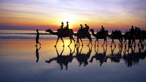 Camel trekking on Cable Beach neat Broome. 