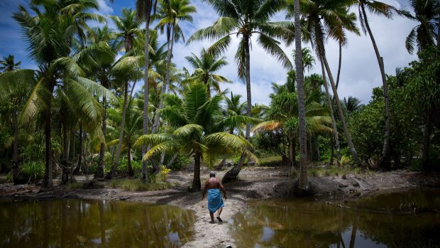 Kianteata Bwaurerei lost his taro pits to inundation on Abaiang, an atoll in Kiribati.