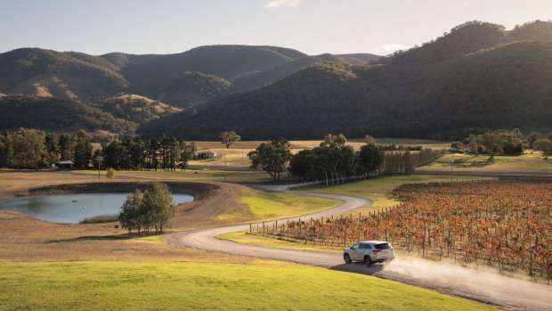 Logan Wines, at Apple Tree Flat near Mudgee. 