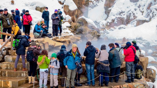 Tourists watching the infamous 'snow monkeys' at Jigokudani's hot springs.