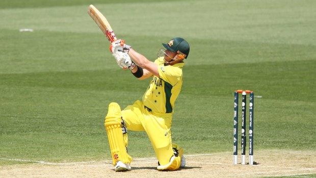 Heavy hitter: David Warner smashed a century during the World Cup warm-up game against India at the Adelaide Oval.
