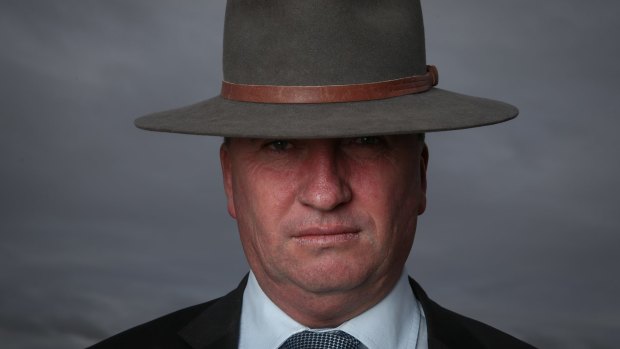 On the rise: Deputy Prime Minister Barnaby Joyce.