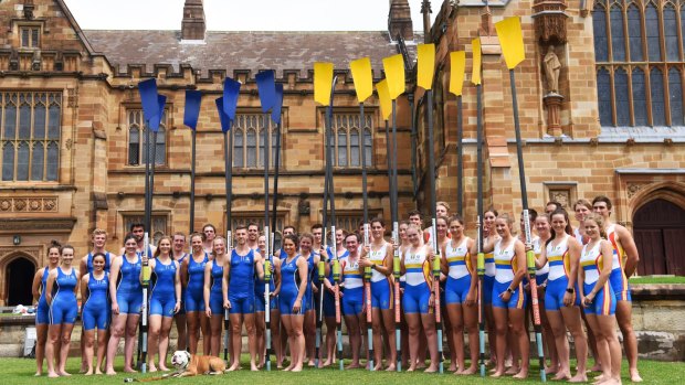 Rowers from the Melbourne and Sydney men's and women's teams at a weigh-in at Sydney Uni ahead of Sunday's race.