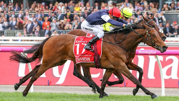 Almandin (GER) ridden by Kerrin McEvoy wins the Melbourne Cup in 2016.