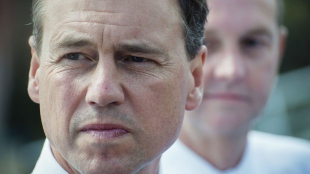 "All these critics said you can never repeal the carbon tax. You'll never get this passed": Environment Minister Greg Hunt.