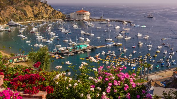The town of Avalon on Santa Catalina Island.
The Californian island was developed in the 1920s as a tourist destination by chewing-gum baron William Wrigley.