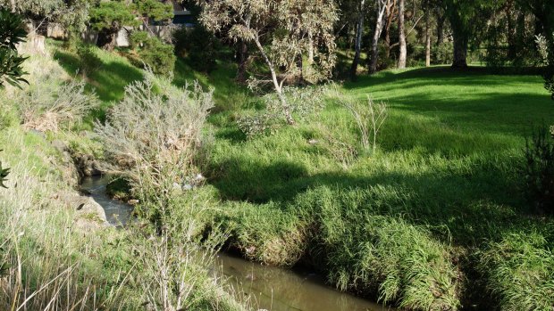 About 20,000 litres of unleaded fuel and diesel, plus more firefighting foam have flown into Steele Creek.