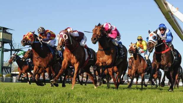 Racing Victoria will trial shorter race meetings beginning at Caulfield on February 6.