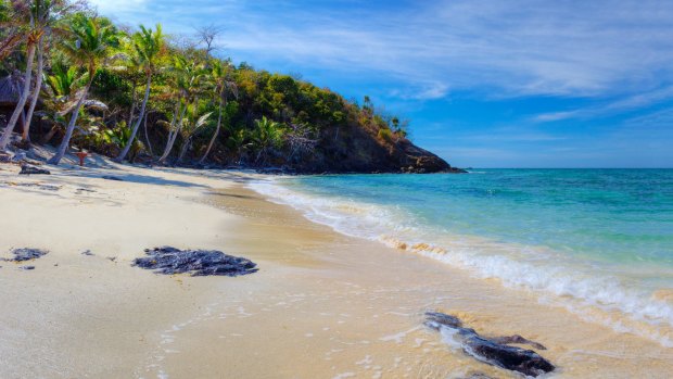 The golden sands of Turtle Island.