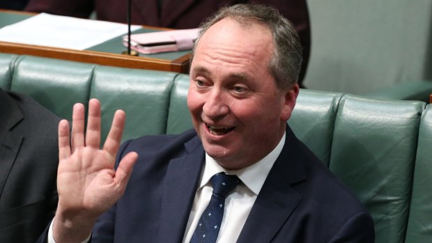 Deputy Prime Minister Barnaby Joyce in Parliament this week.