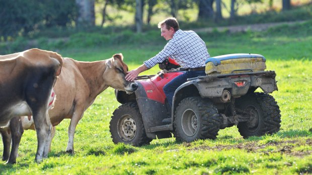 Dairy farmer Paul Mumford on his Won Wron farm.