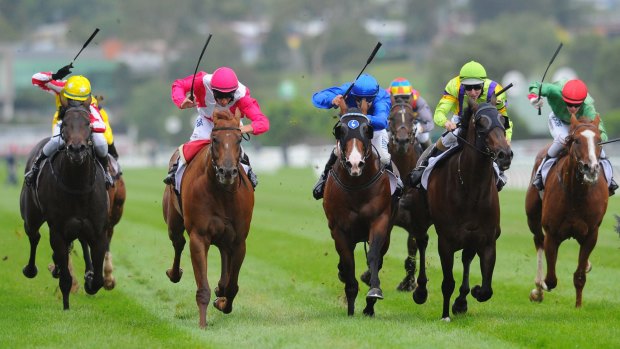 Matthew Allen guides The Quarterback (second left) to victory in the Kensington Stakes at Flemington on Saturday.