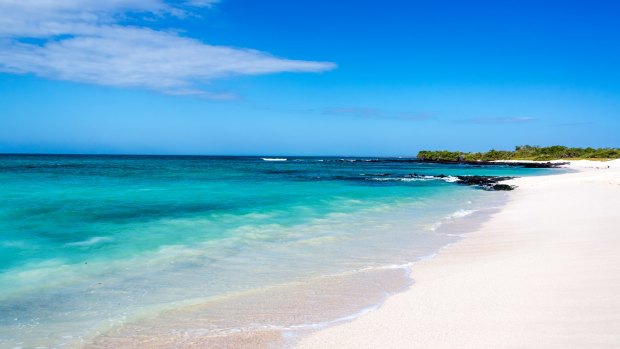 Pristine beach on Santa Cruz, Galapagos.