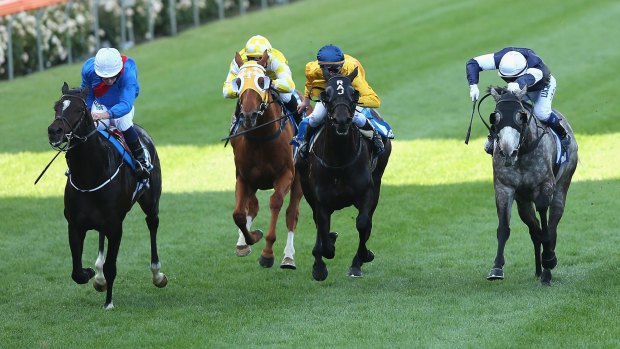 Adelaide (left - Ryan Moore up) leads the field home in the Cox Plate on Saturday.