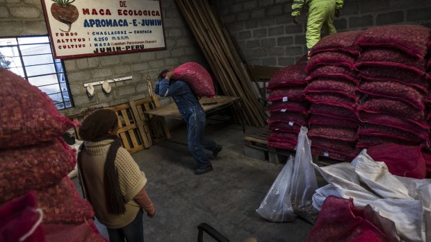 Workers move bags of dried maca to be processed at a plant in Junin, Peru. The price of the root vegetable is soaring on world markets.