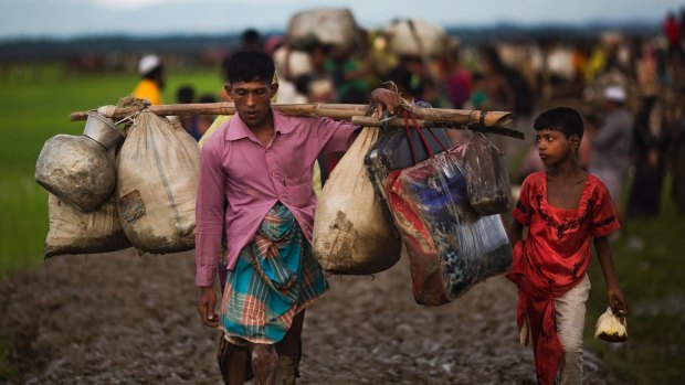 Myanmar's Rohingya ethnic minority members walk through rice fields after crossing over to Bangladesh on Friday.