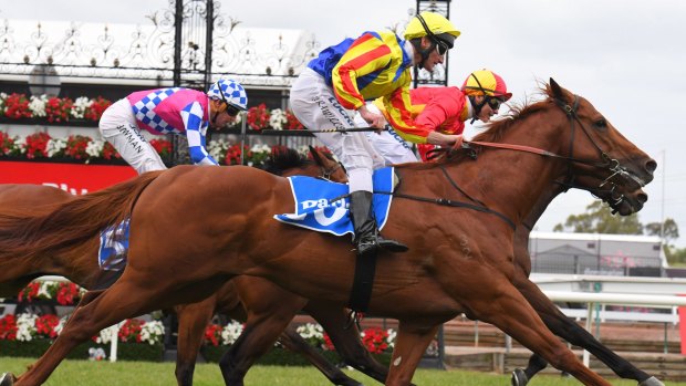 So close: Malaguerra holds off Spieth (on the outside) and Fell Swoop in the Darley Classic at Flemington in November.