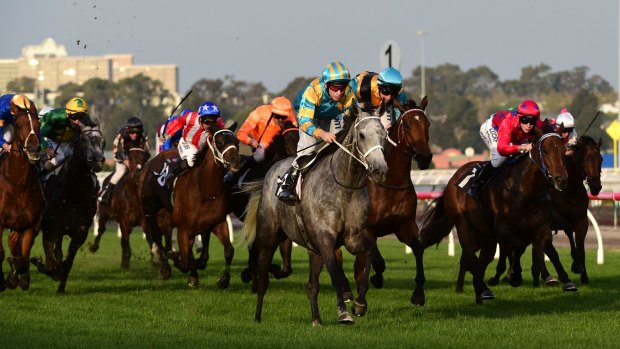 Ben Melham takes Silverball (grey) to the front in the Ross Stevenson Trophy at Flemington on Saturday.