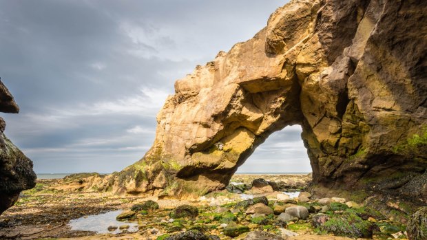 Saddle Rocks at Cullercoats Bay.