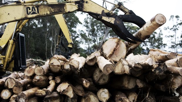 Forestry was among the industries to record 686 deaths in 2003-2014.