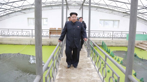North Korean leader Kim Jong Un at the Taedonggang Terrapin Farm in Pyongyang.