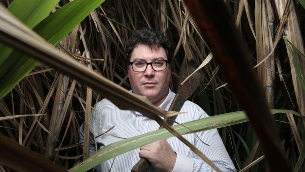 Conservative politician George Christensen has been critical of Wilmar. 