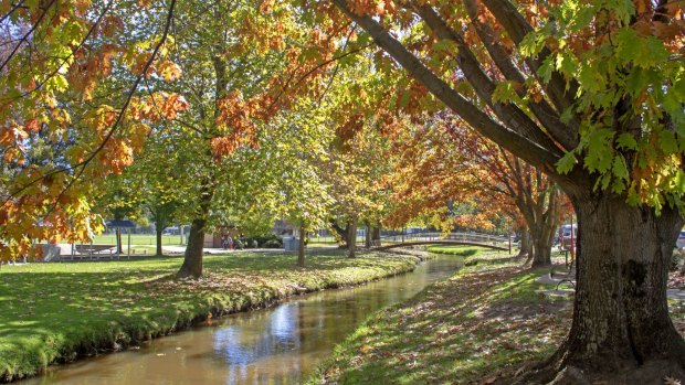 The Tumbarumba River in Tumbarumba.