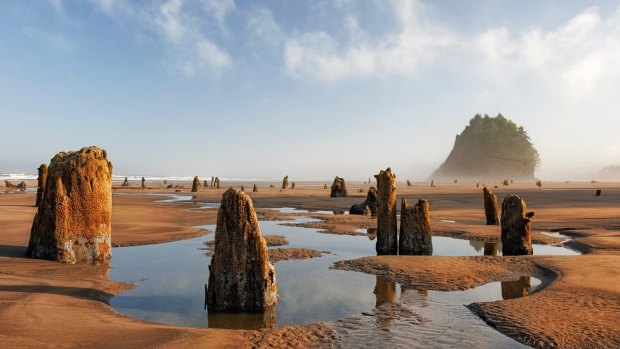 Humans can walk into the past at super low tides, which occur once a year.