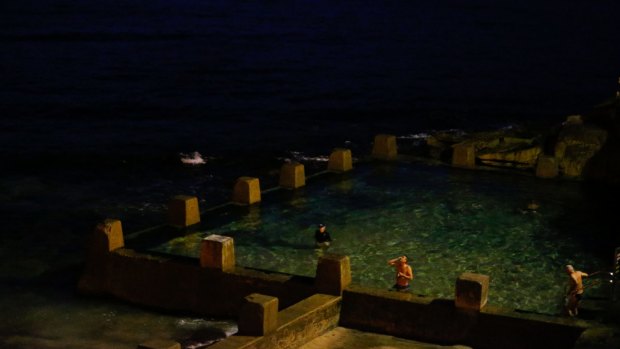 Picture of health: Early morning swimmers at Coogee Beach get used to swimming in the dark.